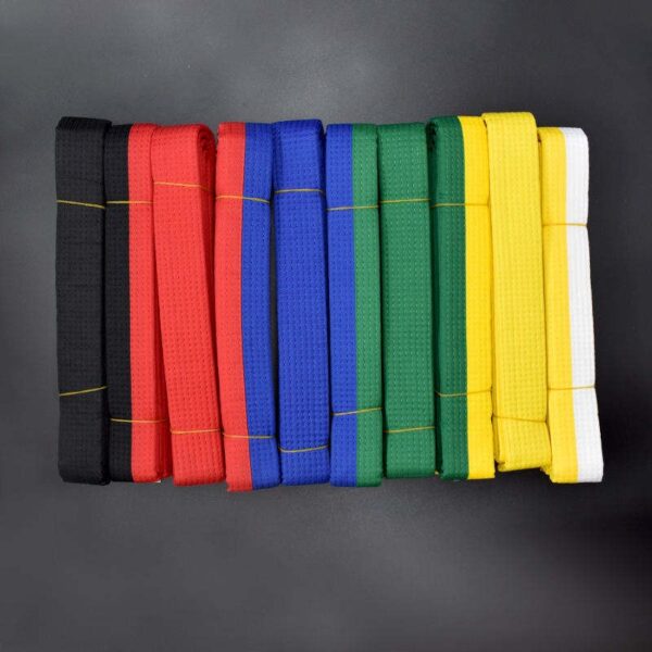 Stunner Fighting Belt BJJ - Image 3